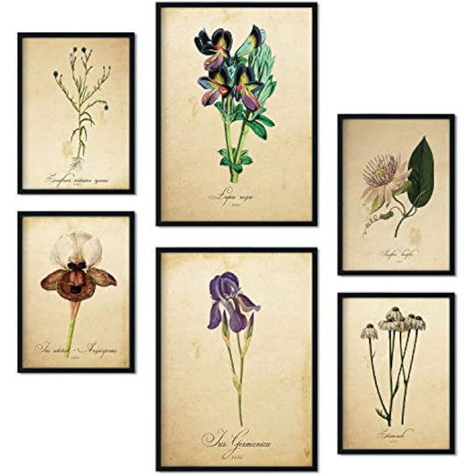 Nacnic Set of 6 Vintage flower posters. Collection of plates with aesthetic collage for interior decoration. Sizes A3 and A4. With black frame.