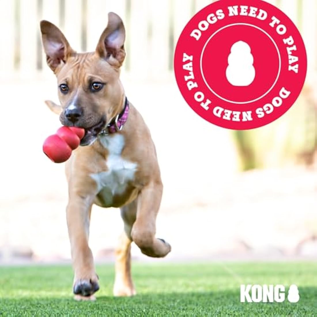 KONG - Wubba Puppy - Nylon Tug of War Dog Toy - For Small Puppy (Assorted Colours)