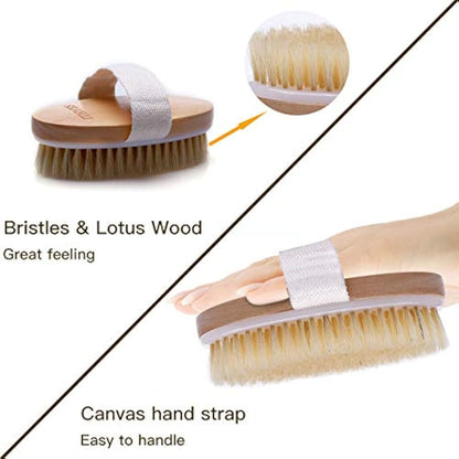 Ithyes Dry Brushing Body Brush Exfoliating Brush Natural Bristle Bath Brush for Remove Dead Skin Toxins Cellulite,Treatment,Improves Lymphatic Functions,Exfoliates,Stimulates Blood Circulation