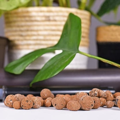 BHomeScent Clay Pebbles for hydroponics (1L)