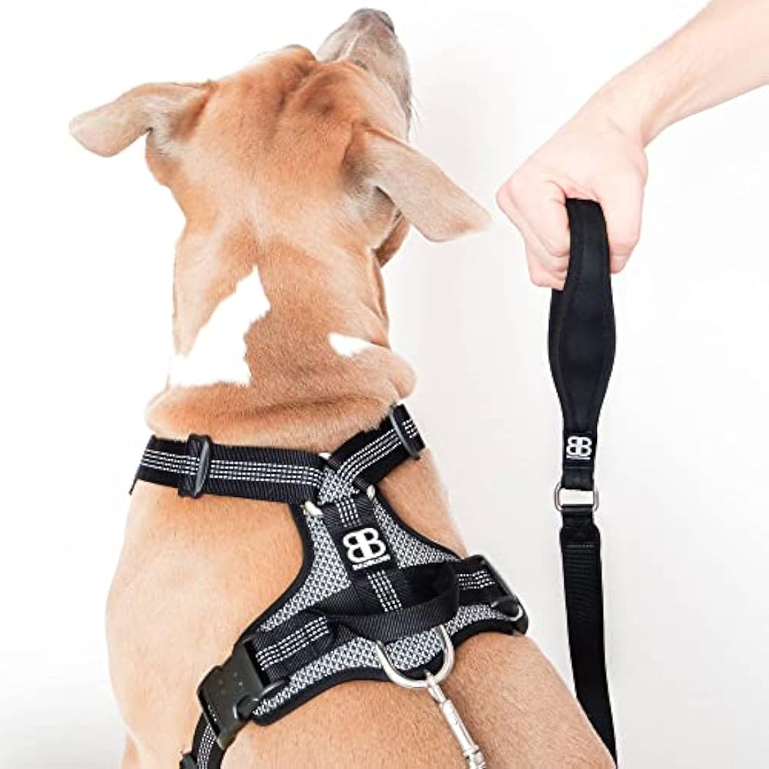 BullyBillows Active Light Dog Harness With Handle - Premium Harness With Padded Lining & Highly Reflective Design - Suitable For All Dog Breeds - Grey XSmall