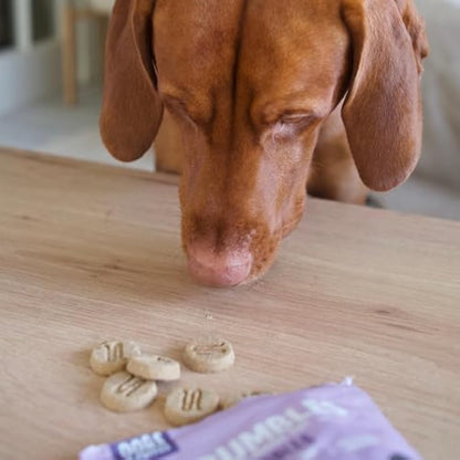 Scrumbles Nibbles, 100% Natural, Calming Dog Treats, Grain Free Turkey Training Treats, 100g pouch