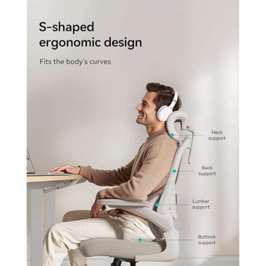 Hbada P1 Ergonomic Office Chair with Flip-Up Armrest, Swivel Computer Desk Chair with 2D Lumbar Support (Grey)