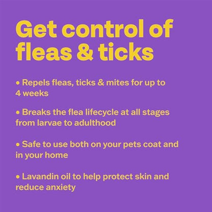Bob Martin Clear Flea Repellent Spray for the Home and Cats - Controls Flea and Tick Infestations in the Household (300ml)
