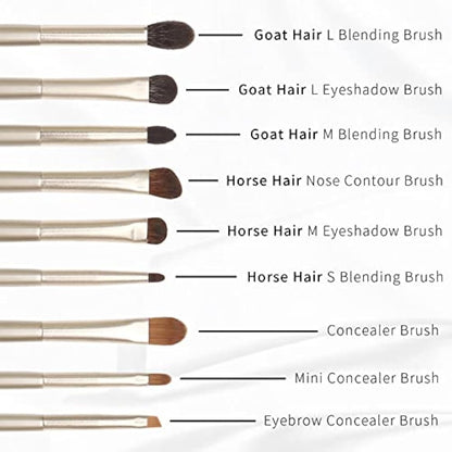 Luxury ENZO KEN Goat Hair Eye Shadow Brush Set: Nose Contour Brushes, Angled Eyeshadow Brush, Professional Makeup Brush Set - Gold, E200