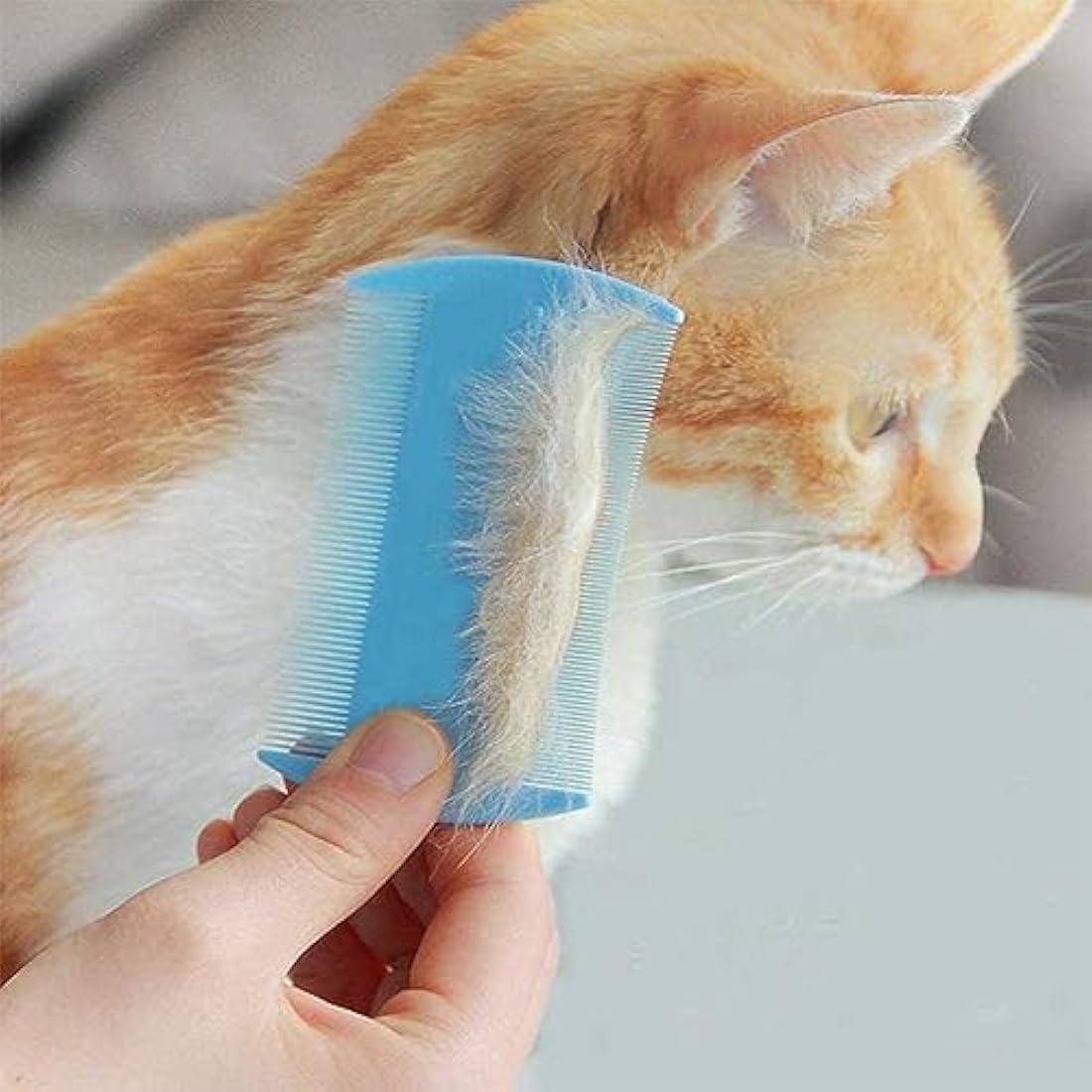 AOSEA 6 Pieces Flea Comb for Cats Dogs Lice Combs Fine Tooth Comb Grooming Set Remove Float Hair Tear Marks Tick Removal Tool,White