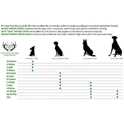 ARTISAN GIFT CO Naturally Shed 100% Natural Premium Deer Antler Chew for Dogs (XL - 2 Units)