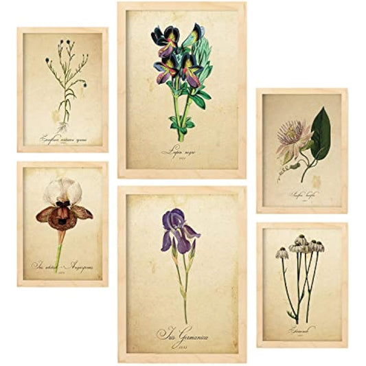 Nacnic Set of 6 Vintage flower posters. Collection of plates with aesthetic collage for interior decoration. Sizes A3 and A4. With wooden frame.
