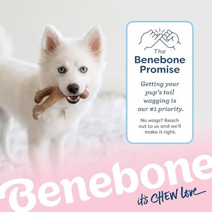 Benebone Puppy Indestructible Wishbone Dog Chew Toy for Aggressive Chewers, Long Lasting Tough Teething Boredom Breaker for Puppies, Real Bacon Flavour, For Small Dogs, Made in the USA