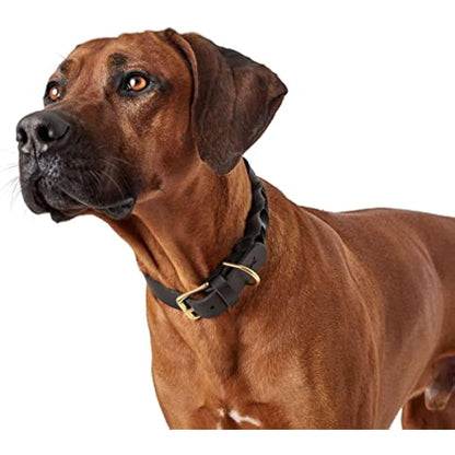 HUNTER SANSIBAR SOLID Leather Dog Collar Heavy Duty Grip Braided 65 (L) Black
