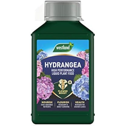 Westland 20100444 Hydrangea High Performance Liquid Plant Food 1 Litre, Green