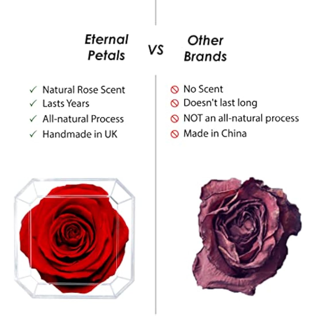 Eternal Petals A 100% Real Rose That Lasts Years, Handmade in London – Gold Solo (Rainbow)