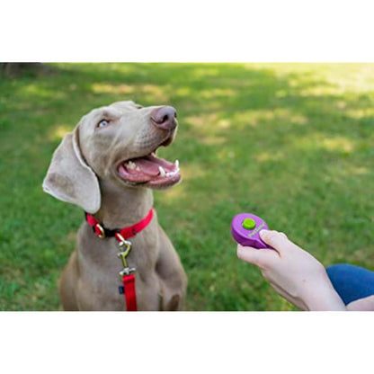 PetSafe Clik-R Training Tool, Training Clicker for Dogs, Reinforces Positive Behaviour, Comfortable Grip, Training Guide Included, Purple