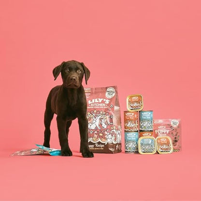 Lily's Kitchen Natural Puppy Dog Food Wet Tins - Puppy Recipe with Turkey - Complete Meal Recipes (6 Tins x 400g)