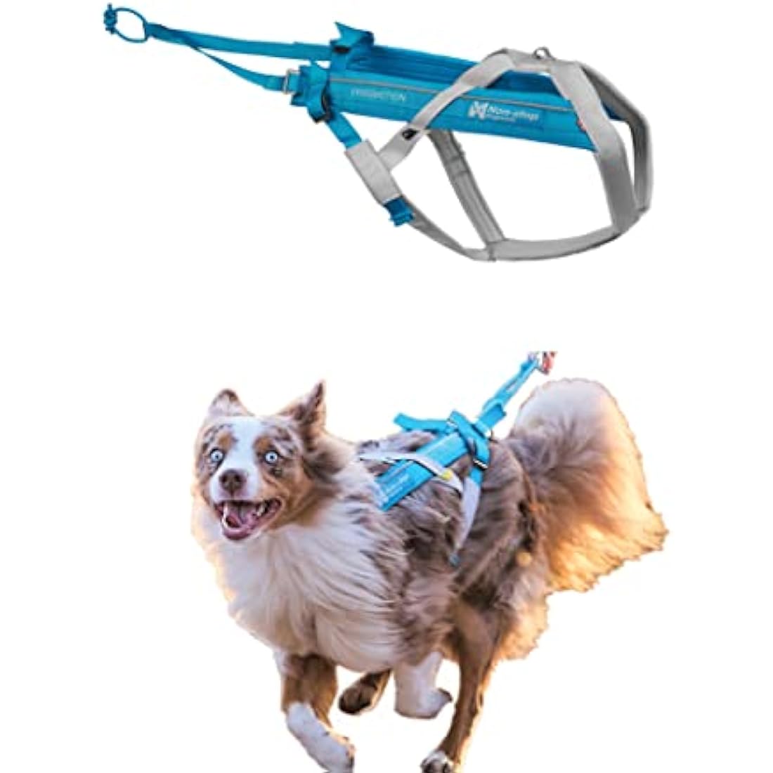 Non-stop dogwear Freemotion harness 5.0 Dog Pulling Harness for Sports like Running, Biking and Skiing with Dogs, Professional Adjustable Dog Harness, Blue/Gray, Size 3
