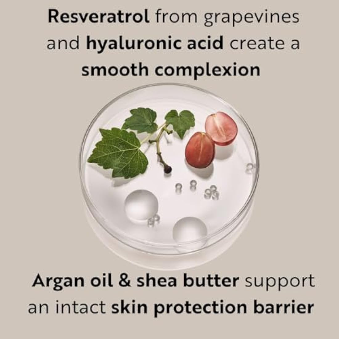M. Asam Resveratrol Premium Lifting Cream (100 ml) - Anti-Aging Face Moisturiser, Resveratrol Day and Night Cream, Hydrating Skin Care with Peptides, Vegan Face Cream