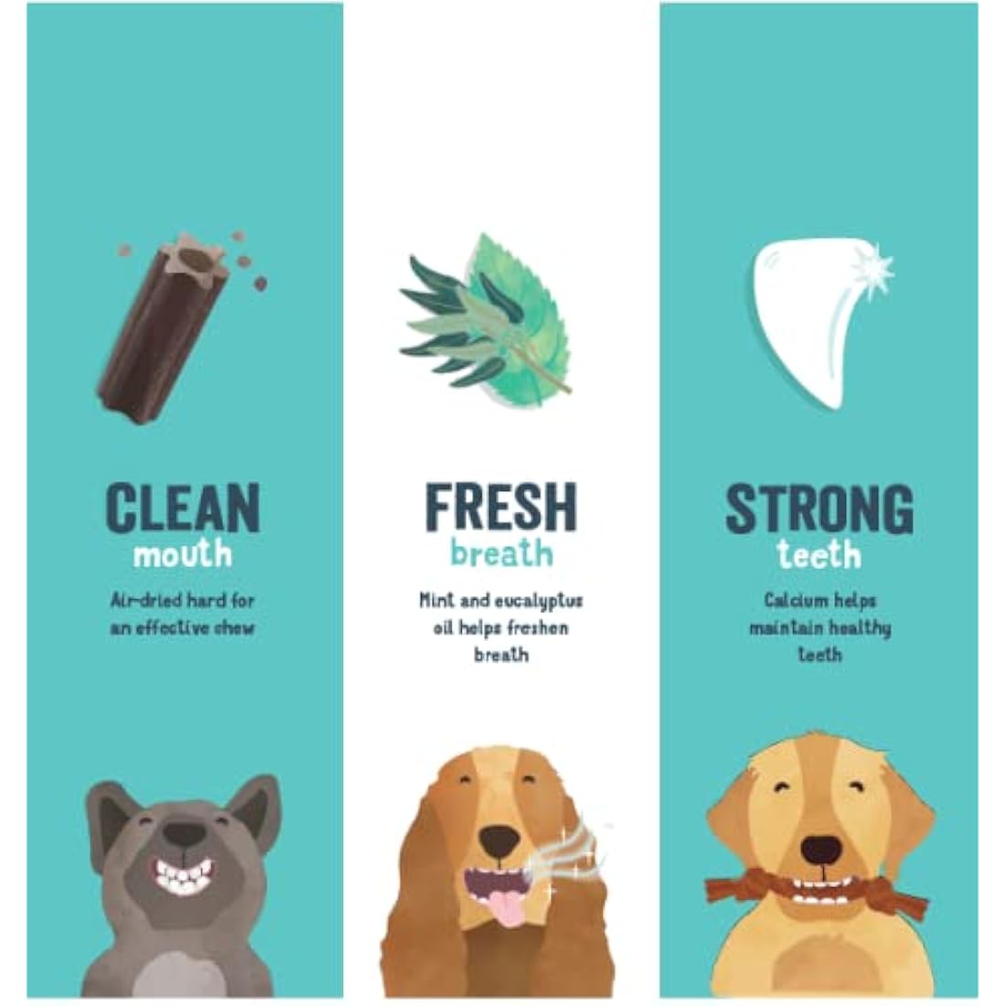 Edgard Cooper Treats Dental Stick, Small - Mint and Strawberry - (8 x 7 stick pack), Natural Dog Chew Sticks, Dental Hygiene, One per Day, Low Calorie, Long Chewing, Fresh Breath
