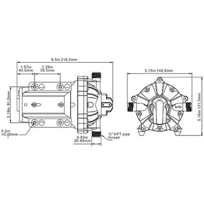 Seaflo 55-Series Diaphragm Pump - 12V DC, 5.5 GPM, 60 PSI with HEAVY DUTY PRESSURE SWITCH