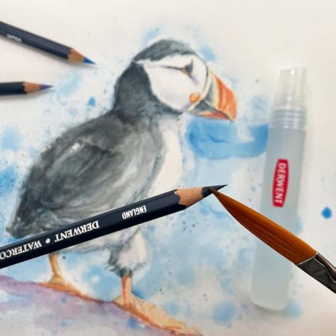 Derwent Watercolour Pencils, Painting & Drawing, Set Of 24, Ideal For Blending & Layering, Professional Quality, 32883
