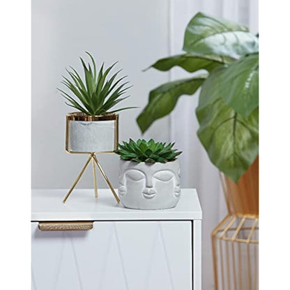 Sleepdown Halo Green Artificial Faux Plant Succulent Faces Pot for Home Office Bathroom Decor Indoor Decoration Aesthetics, Small