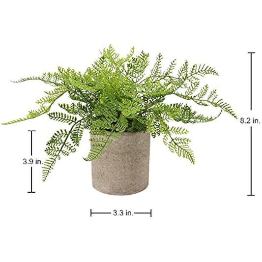 Artificial Rabbit's Foot Fern Fern Plant in Pot, Decorative Fake Plant Indoor, Faux Grass for Home Decor Bedroom Living Room Shelf Office