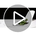 Click and Grow Smart Garden | Easier than Hydroponics growing system | Grow Your Own Kits | Indoor Herb Garden | 3 Basil Pods included, White