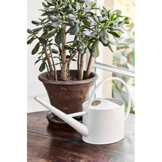 Burgon & Ball Indoor Long Reach Watering Can, 1.7 Litre Capacity, Buttermilk Cream
