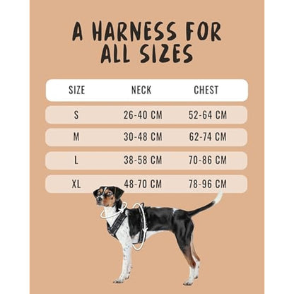 Rudelkönig dog harness Paola - Reflective Chest Harness with Handle - Adjustable large no pull harness for dogs - For very large dogs