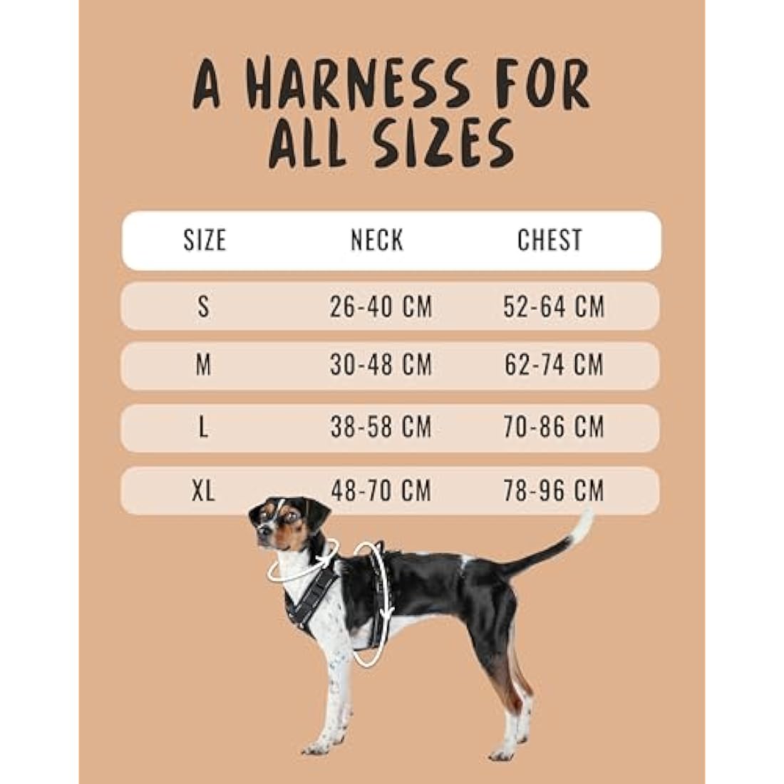 Rudelkönig dog harness Paola - Reflective Chest Harness with Handle - Adjustable no pull harness for dogs - For small and medium dogs