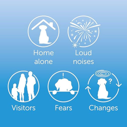 30 Day Refill For Adaptil Calm Home Diffuser For Dogs | 1 Refill For Adaptil Dog Calming Plug In Pheromone Diffuser To Help Reduce Anxiety And Stress In Pet Dogs | Diffuser Helps Dogs Stay Calmer
