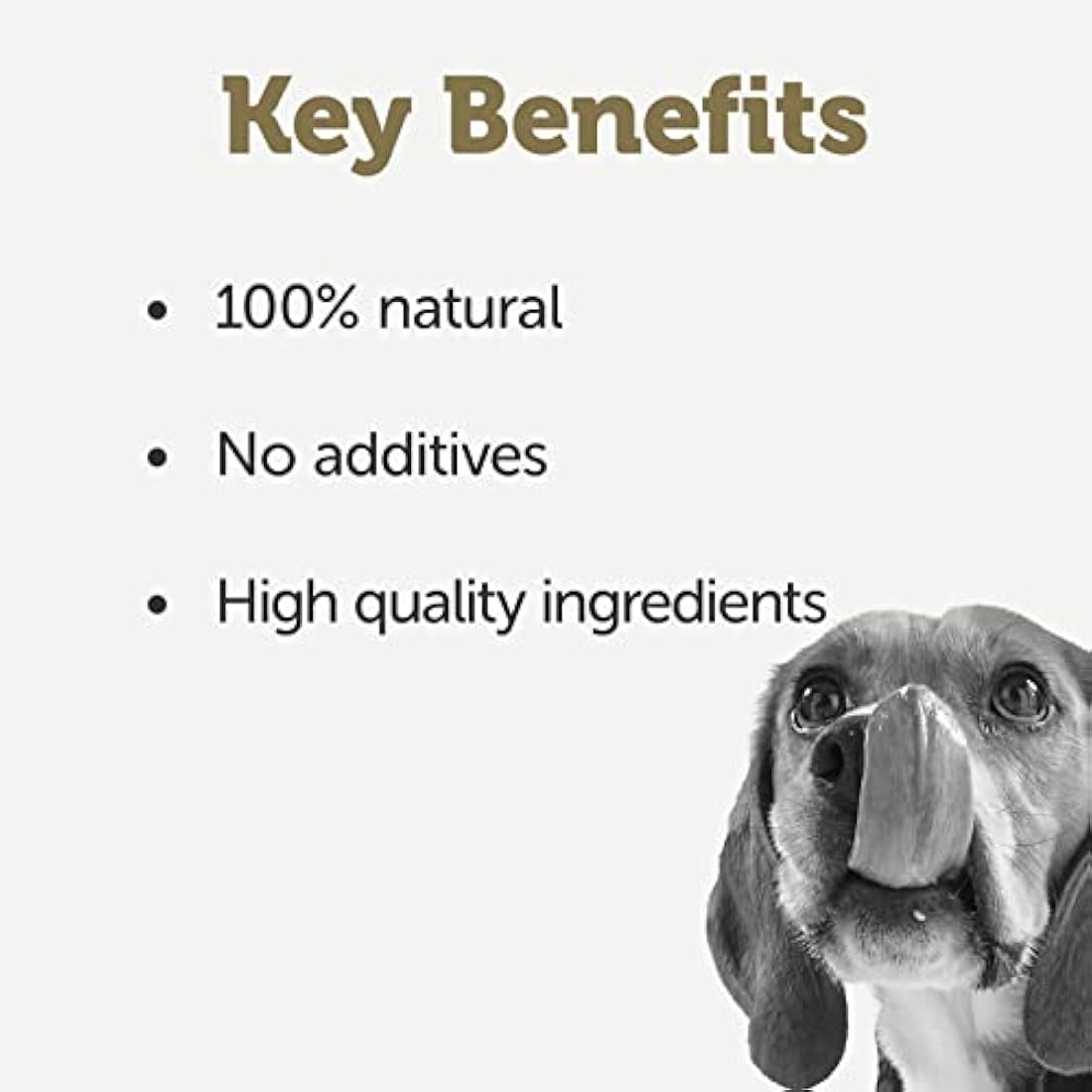 Applaws 100% Natural Wet Dog Food, Chicken Breast with Salmon and Vegetables, 12 x 156 g,Package may vary
