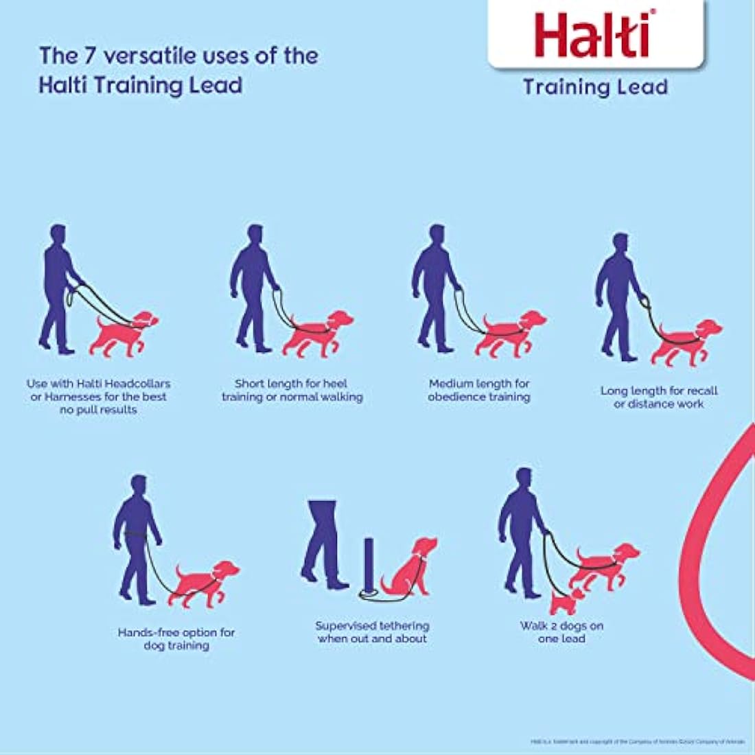 HALTI No Pull Harness Size Medium & HALTI Training Leash Size Large, Black Combination Pack - Stop Your Dog Pulling on the Leash. Adjustable, Lightweight and Easy to Use. Suitable for Medium Dogs