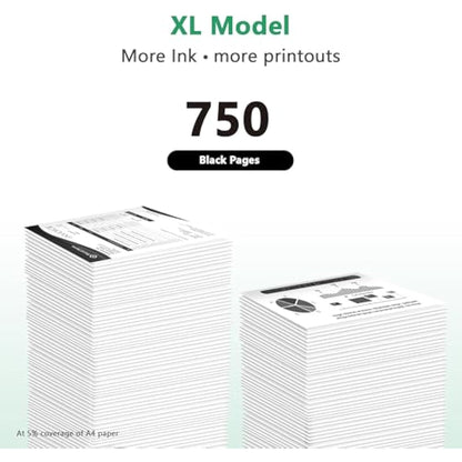LIFOR PG-560 XL 560XL Black Ink Cartridges High Yield Replacement for Canon 560 Ink Cartridge PG560 XL PG-560XL for Pixma TS5350 TS7451 TS7450 TS5351 TS5350a TS5351 TS5352 (2 Black,2-Pack)