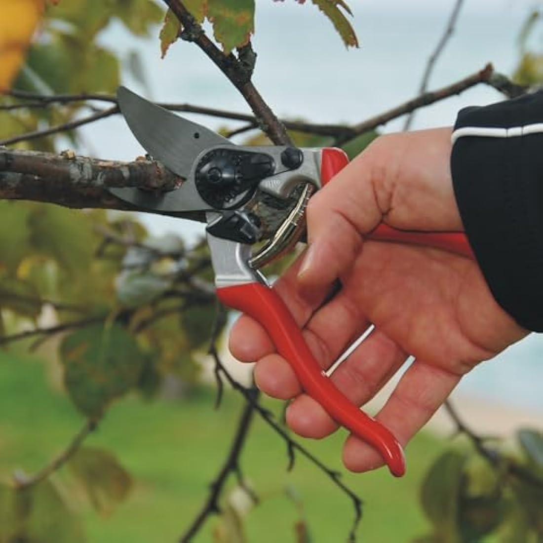 Felco FEL8 Model 8 Classic Secateurs (Renewed)