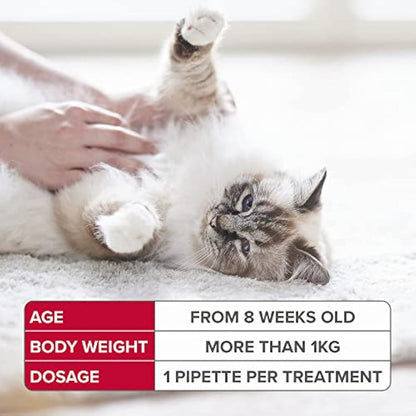 Beaphar | FIPROtec Spot-On for Cats | Kills Fleas & Ticks | Vet Strength Treatment | Easy to Apply | Suitable for Cats & Kittens from 8 Weeks of Age, Weighing more than 1kg | 6 Pipettes