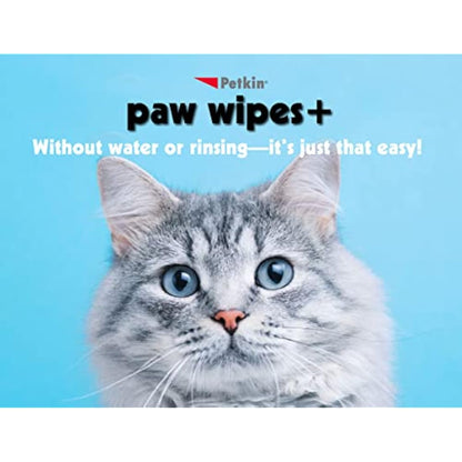 Petkin Paw Wipes, White, 100 Count (Pack of 1)