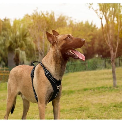 WINHYEPET True Love No-Pull Dog Harness,Adjustable Outdoor Vest Reflective Nylon Soft Pet Harness Dog Suitable Small Medium Large Breeds TLH5654(Purple,M)