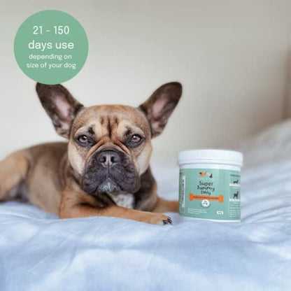 Buddy & Lola Probiotics For Dogs - 300g Powder, Simple To Add To Food - Complete Daily Digestive Support With Probiotics & Prebiotics For Happy Healthy Dogs