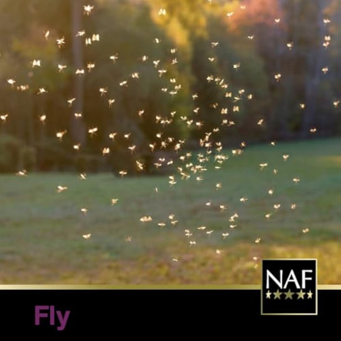 NAF Off Extra Effect Fly Spray Refill 2.5L – Natural Insect Repellent for Horses – Effective Against Flies, Midges & Biting Insects – With Citronella – Long-Lasting Summer Protection