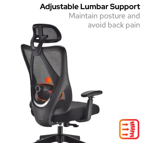 Office Hippo Ergonomic Mesh Office Desk Chair, Adjustable Arms, Swivel Chair with 2D Adjustable Lumbar Support, Headrest & Tension Control