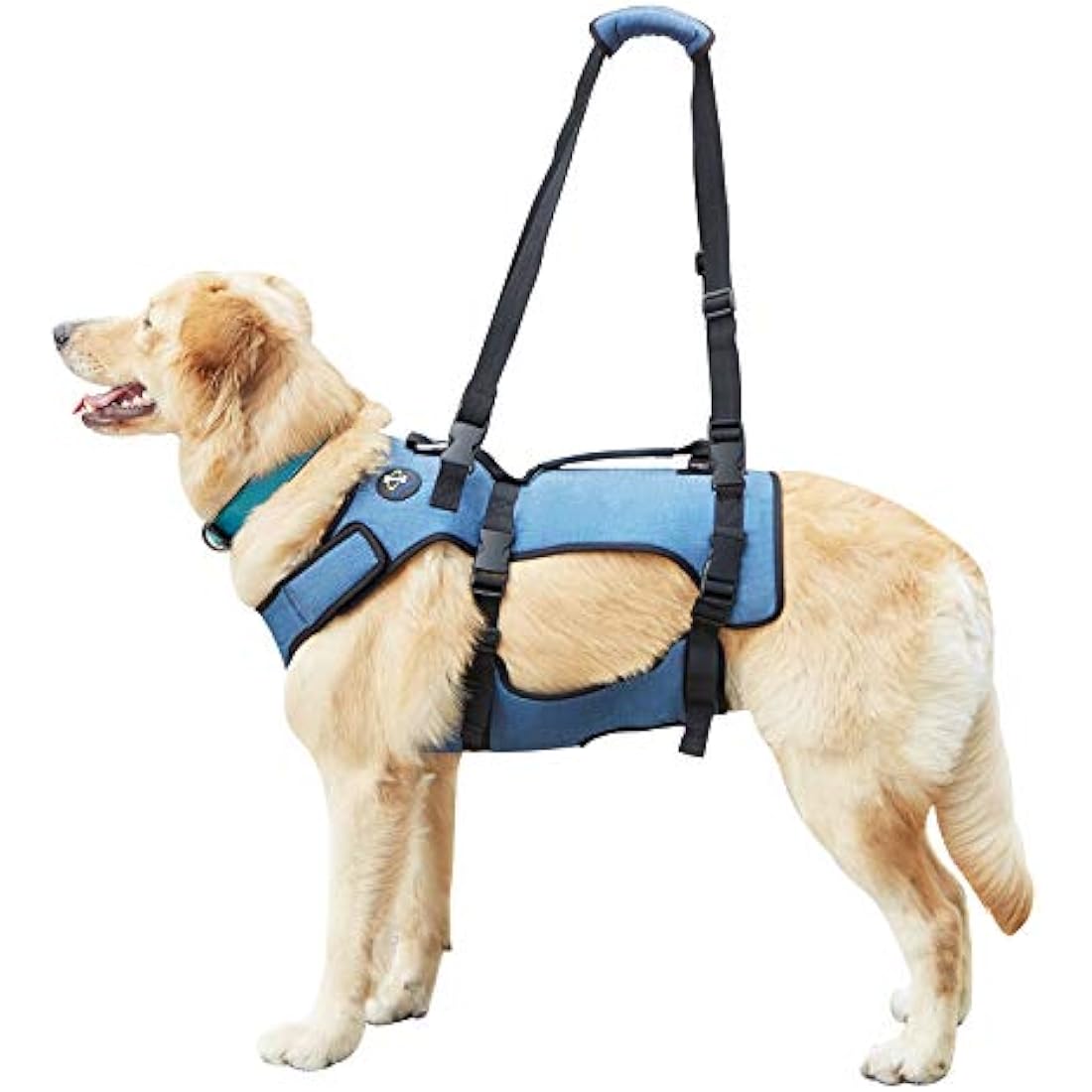 Coodeo Dog Lift Harness, Support & Recovery Sling, Pet Rehabilitation Lifts Vest Adjustable Breathable Straps for Old, Disabled, Joint Injuries, Arthritis, Paralysis Dogs Walk (Large)