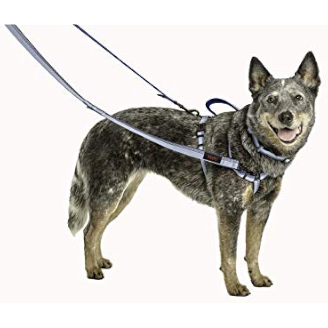 HALTI Double-Ended Lead For Dogs, Size Small, Red, 2m, Best Premium Puppy & Dog Leash, Neoprene-Padded, Easy to Use, Reflective, Adjustable Lengths, Ideal Dog Lead for Hands Free Running & Training