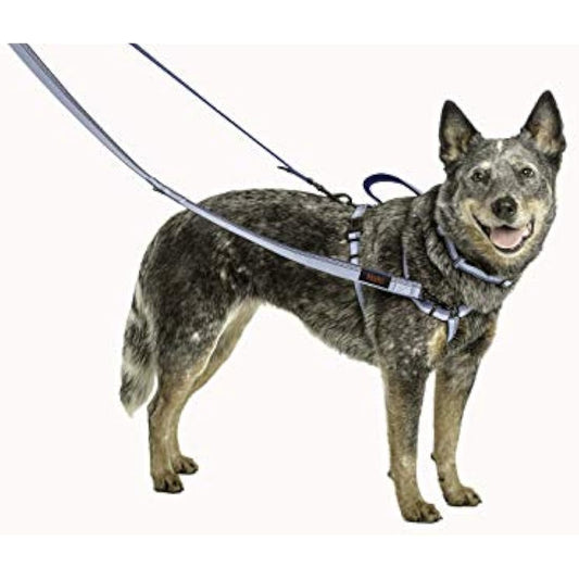 HALTI Double-Ended Lead For Dogs, Size Small, Red, 2m, Best Premium Puppy & Dog Leash, Neoprene-Padded, Easy to Use, Reflective, Adjustable Lengths, Ideal Dog Lead for Hands Free Running & Training