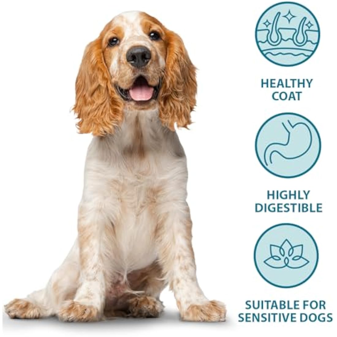 Burns Pet Nutrition Hypoallergenic Complete Dry Dog Food Adult and Senior Dog Sensitive with Chicken 6 kg