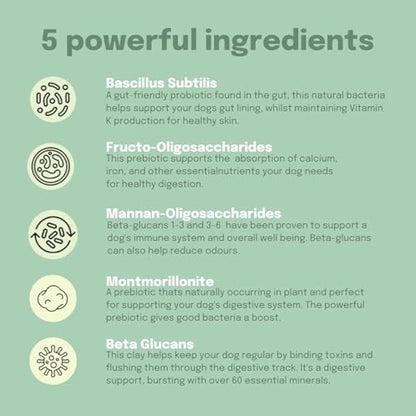 Buddy & Lola Probiotics For Dogs - 300g Powder, Simple To Add To Food - Complete Daily Digestive Support With Probiotics & Prebiotics For Happy Healthy Dogs