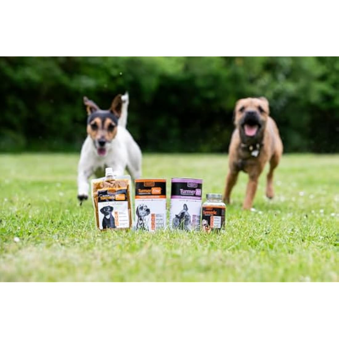 The Golden Paste Company TurmerEase Chicken & Turmeric Joint Supplements for Dogs & Cats - Health, Mobility & Digestion Support - Natural Grain Free Dog Treats - Pet Joint Care, Wellness & Digestion