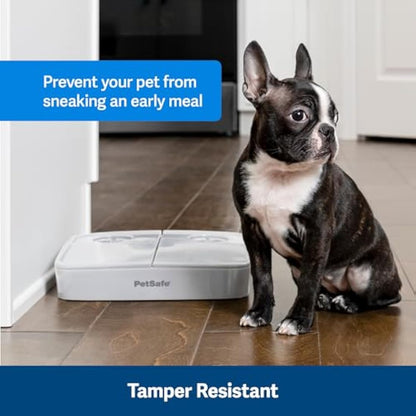 PetSafe 2 Meal Automatic Feeder, Built-in Timers, BPA Free Food Bowl, Suitable for Dry Food,Grey