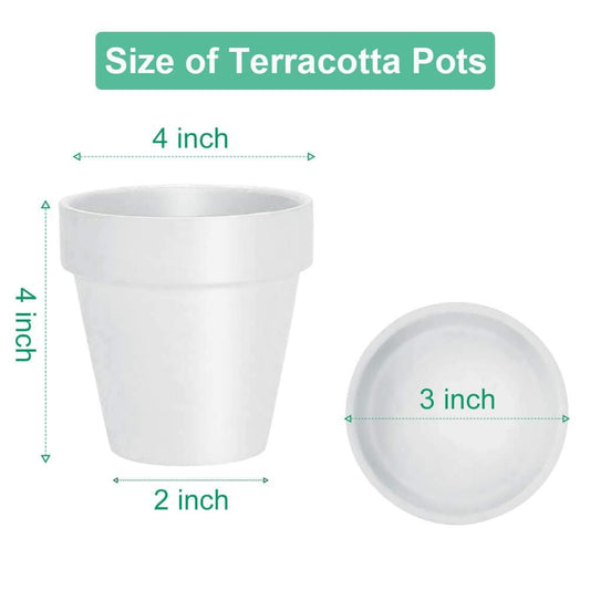 vensovo 10.16cm White Clay Pot for Plant with Saucer - 6 Pack Small Terra Cotta Plant Pot with Drainage Hole, Flower Pot with Tray, Terracotta Pot for