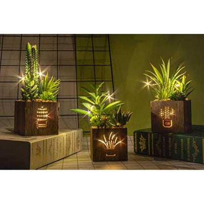 BEGONDIS Set of 3 Artificial Succulents with Led Lights in Wooden Box, Artificial Plants Plastic Fake Topiary for Home/Office Decorations, Table Centerpiece, Valentine's Day
