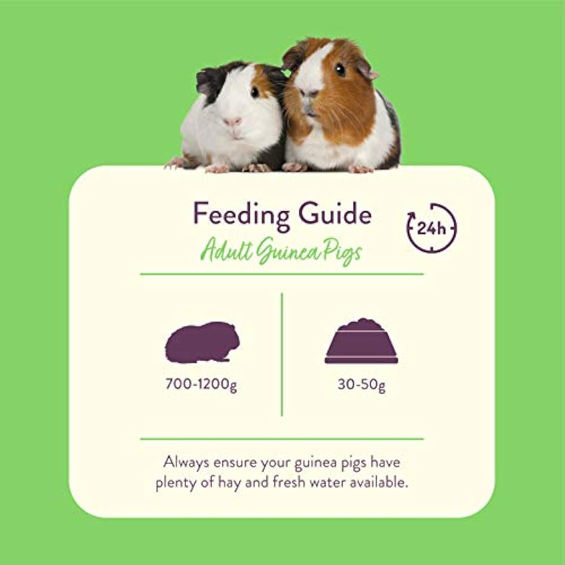Burgess Excel Guinea Pig Nuggets with Mint 2kg